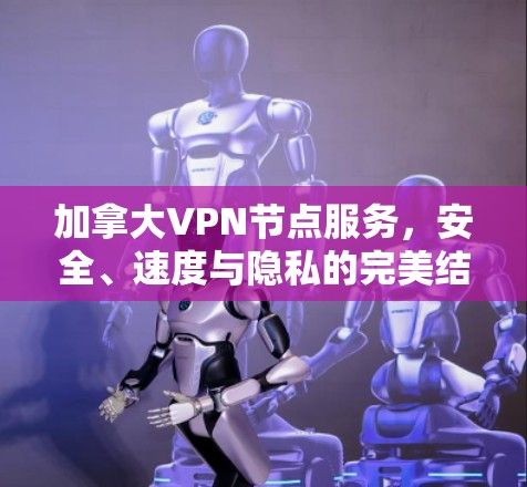 加拿大VPN节点服务，安全、速度与隐私的完美结合