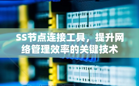 SS节点连接工具，提升网络管理效率的关键技术