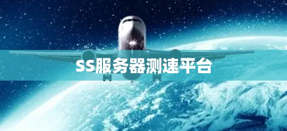 SS服务器测速平台