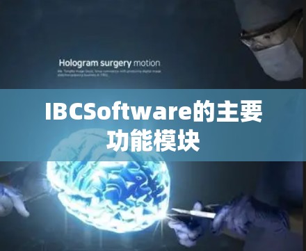 IBCSoftware的主要功能模块