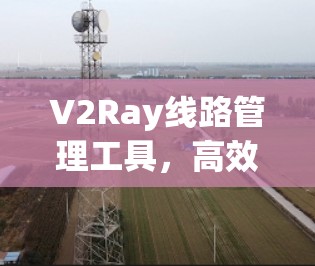 V2Ray线路管理工具，高效、安全、可扩展的解决方案