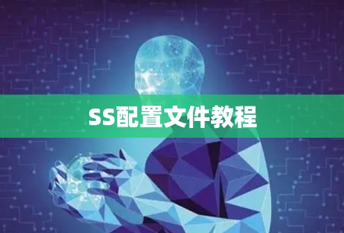 SS配置文件教程