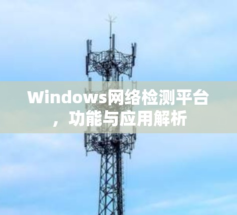Windows网络检测平台，功能与应用解析