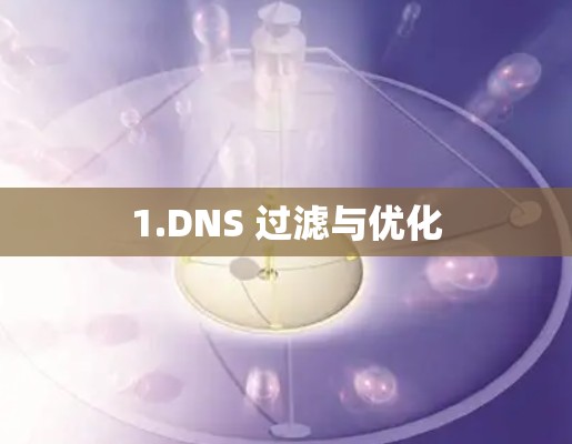 1.DNS 过滤与优化