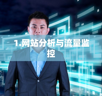 1.网站分析与流量监控