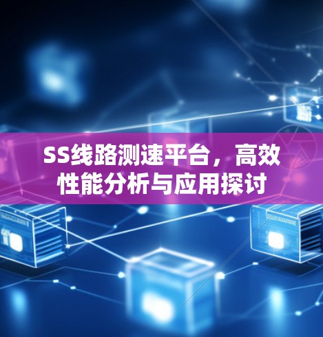 SS线路测速平台，高效性能分析与应用探讨