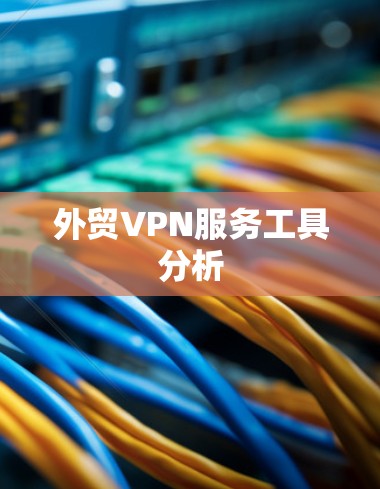 外贸VPN服务工具分析