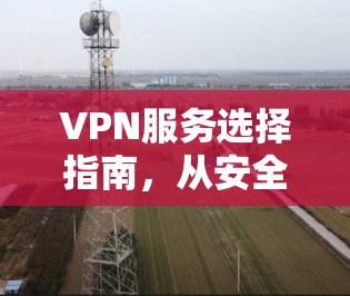 VPN服务选择指南，从安全性到兼容性全面评估