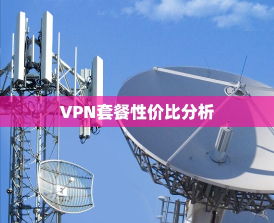 VPN套餐性价比分析