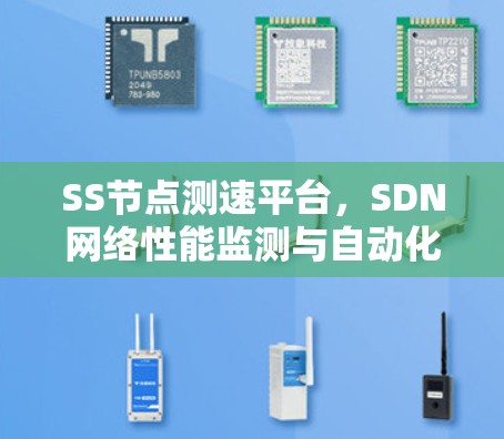 SS节点测速平台，SDN网络性能监测与自动化测试新解决方案