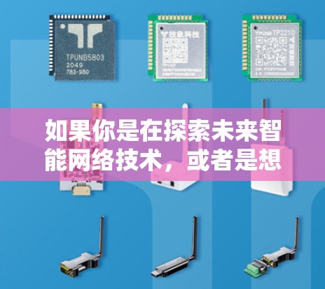 如果你是在探索未来智能网络技术，或者是想了解类似的平台的发展趋势，可以关注以下几个方面