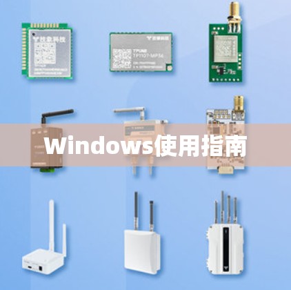 Windows使用指南