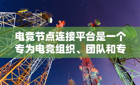电竞节点连接平台是一个专为电竞组织、团队和专业玩家设计的网络管理解决方案，旨在优化他们的网络连接，提升游戏体验。以下是该平台的详细说明