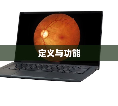 定义与功能