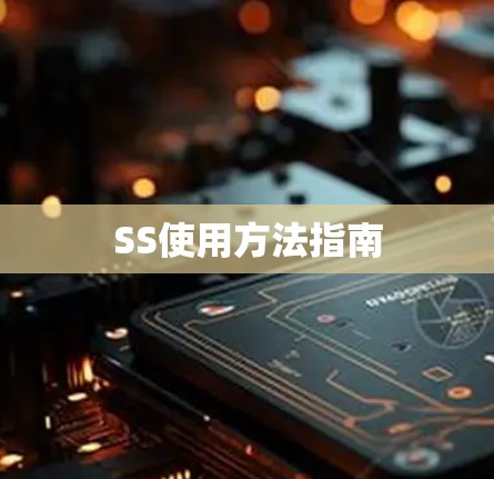 SS使用方法指南
