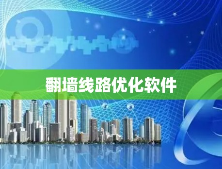 翻墙线路优化软件