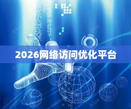2026网络访问优化平台