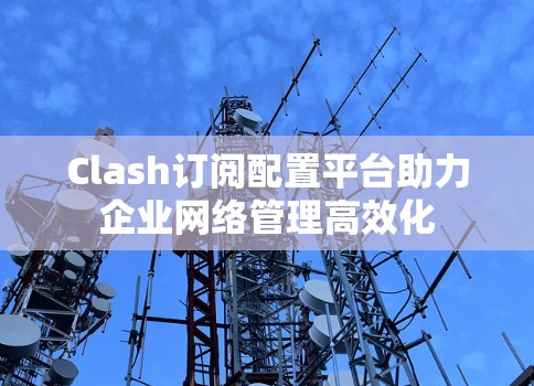 Clash订阅配置平台助力企业网络管理高效化