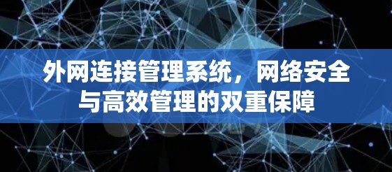 外网连接管理系统，网络安全与高效管理的双重保障