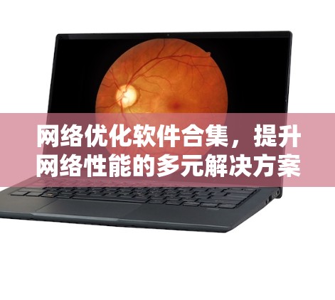 网络优化软件合集，提升网络性能的多元解决方案