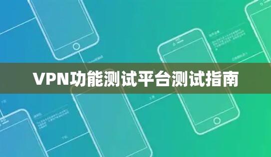 VPN功能测试平台测试指南