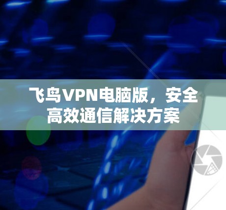 飞鸟VPN电脑版，安全高效通信解决方案
