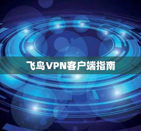 飞鸟VPN客户端指南