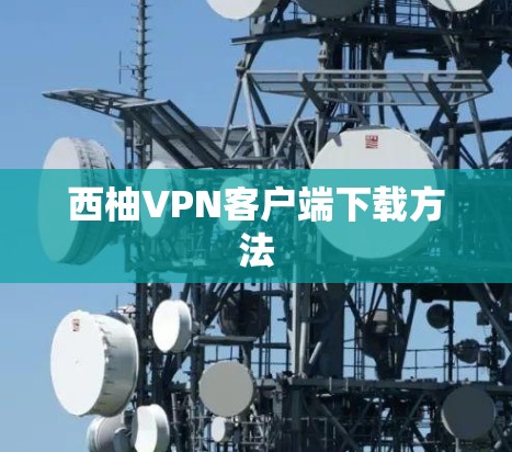 西柚VPN客户端下载方法