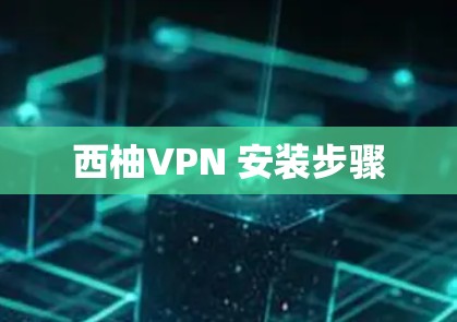 西柚VPN 安装步骤