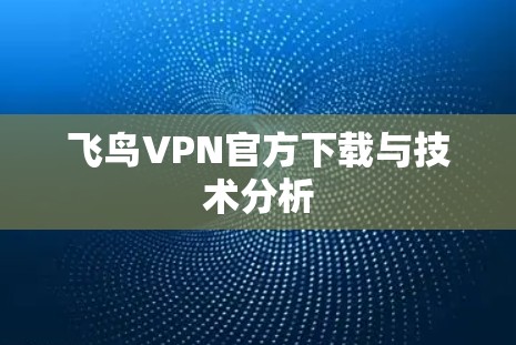 飞鸟VPN官方下载与技术分析