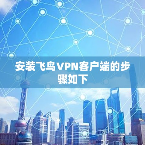 安装飞鸟VPN客户端的步骤如下