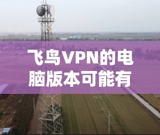 飞鸟VPN的电脑版本可能有客户端支持，但具体情况可能因版本而异。以下是可能的解决方法