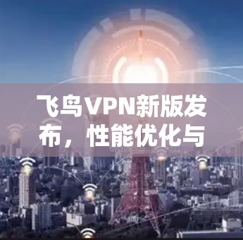 飞鸟VPN新版发布，性能优化与安全增强