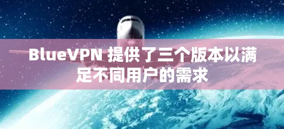 BlueVPN 提供了三个版本以满足不同用户的需求