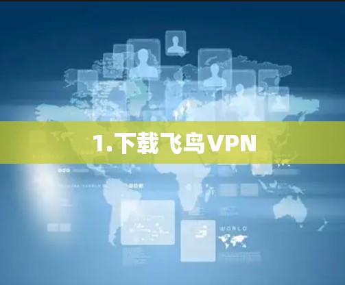 1.下载飞鸟VPN