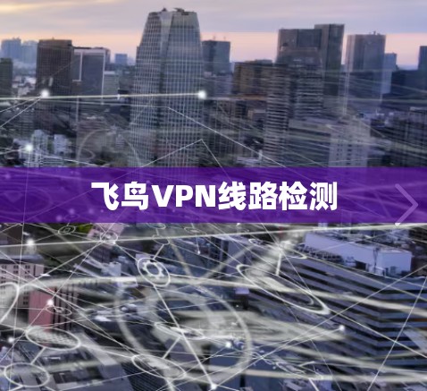 飞鸟VPN线路检测